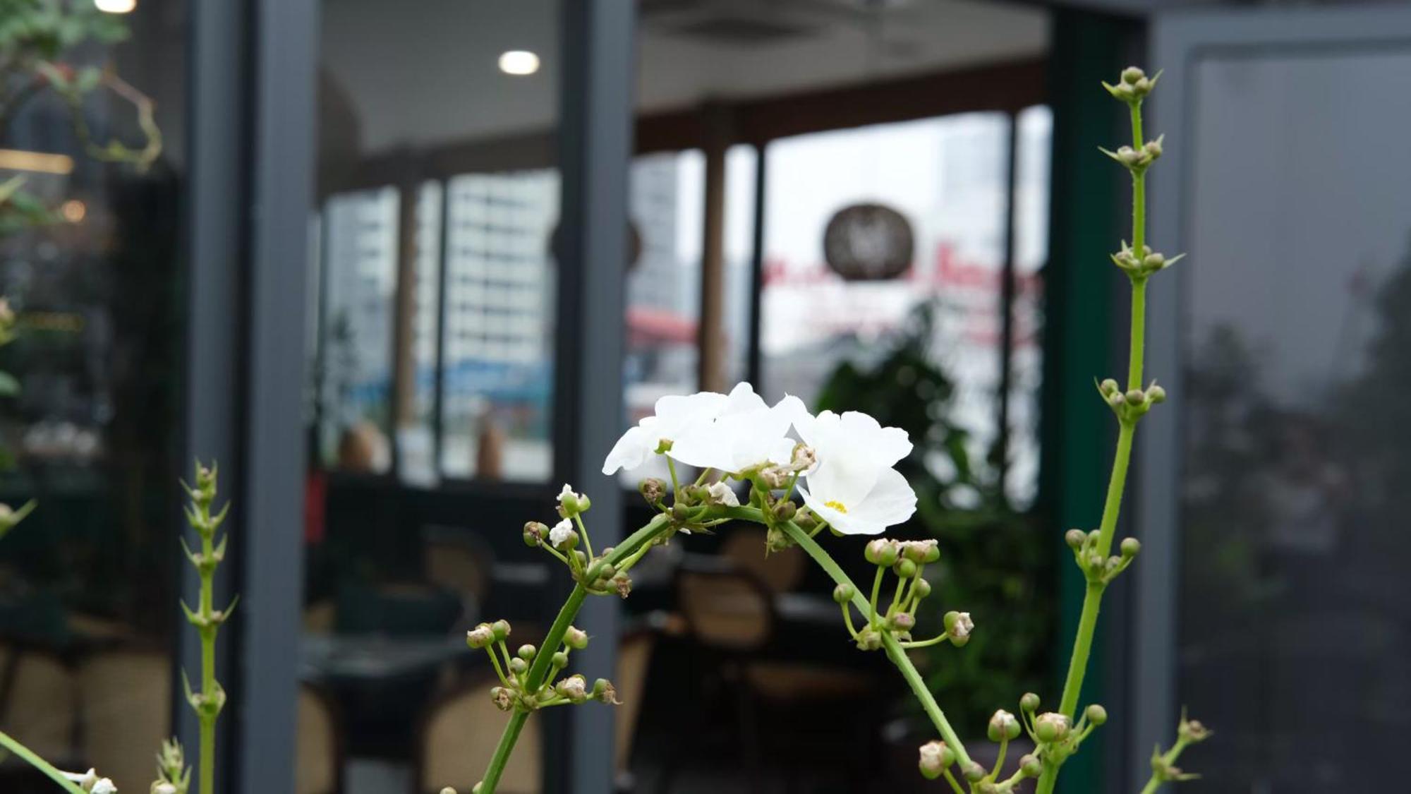 The Bloom Classic - Hotel And Bistro Hanoi Esterno foto