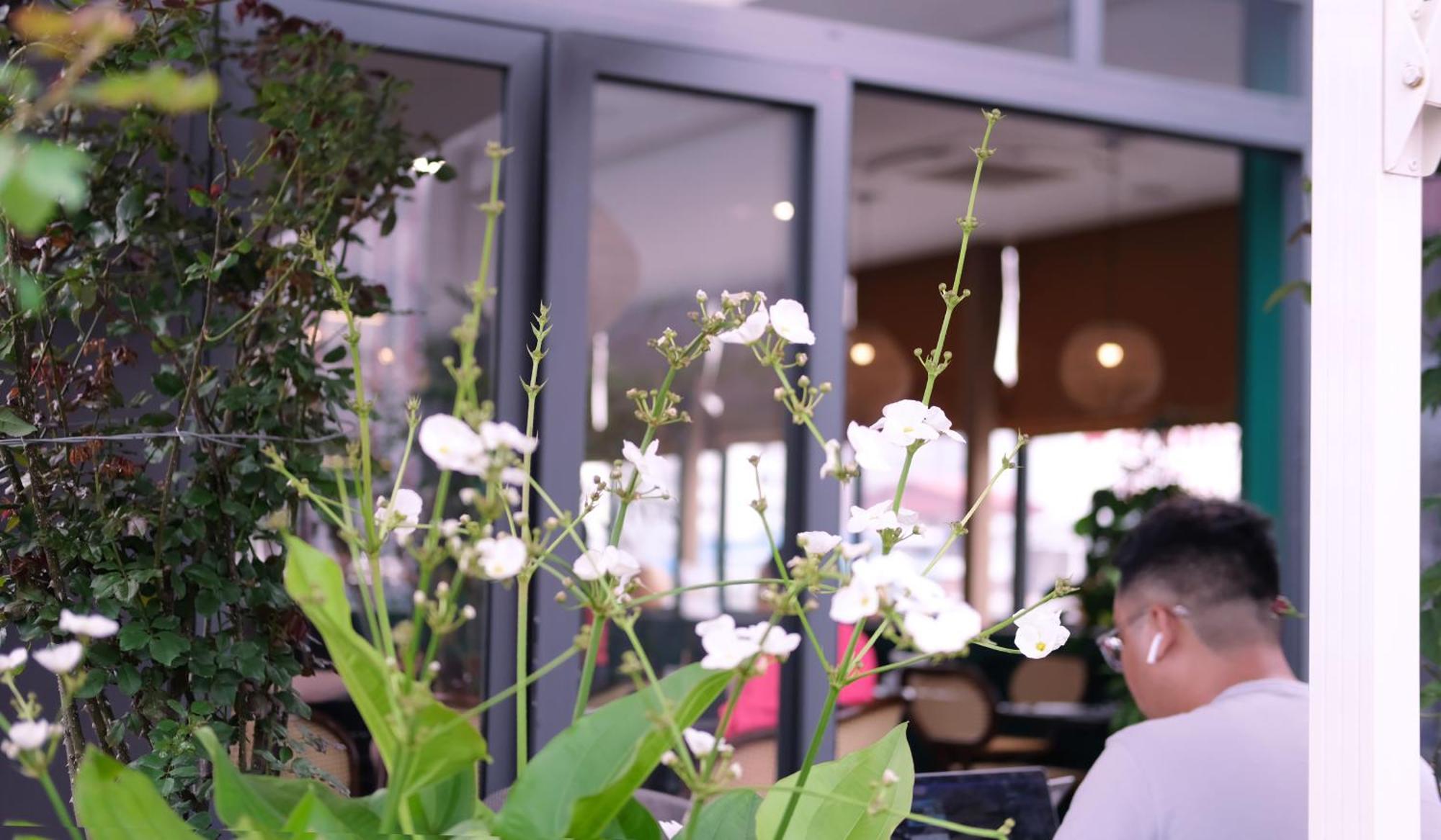 The Bloom Classic - Hotel And Bistro Hanoi Esterno foto